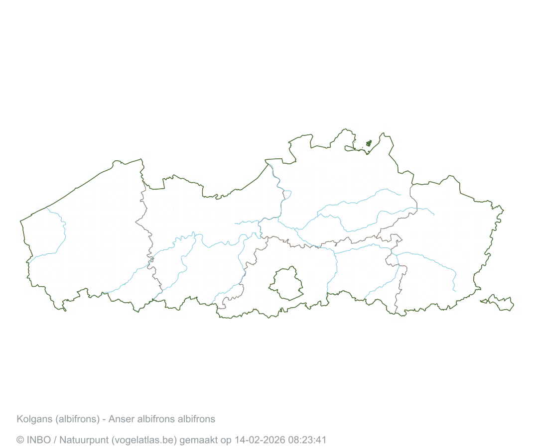 Vogelatlas.be - De vogelatlas van Vlaanderen